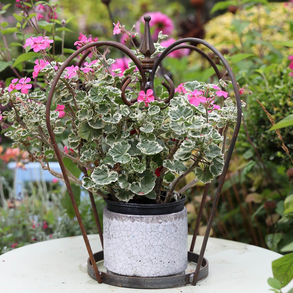 Decorative Crown Garden Ornament 5065022557883